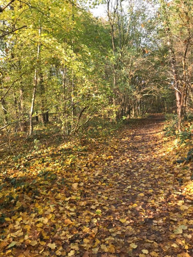 La Suite Cosy - Votre Pause Arborée La Bruyere Extérieur photo
