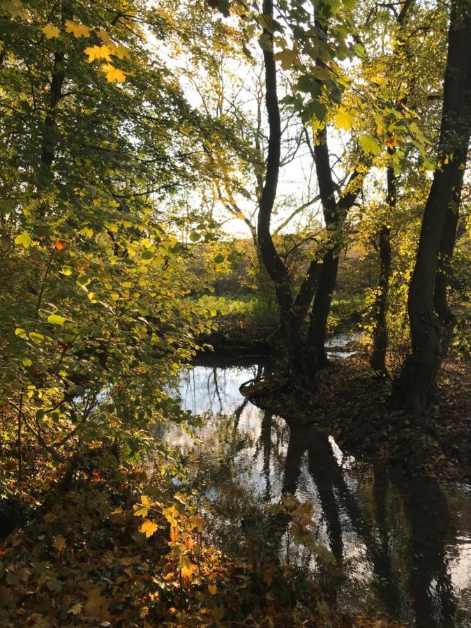 La Suite Cosy - Votre Pause Arborée La Bruyere Extérieur photo