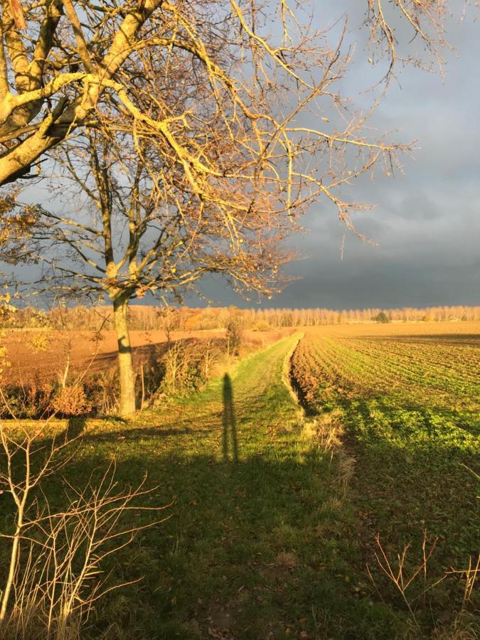 La Suite Cosy - Votre Pause Arborée La Bruyere Extérieur photo