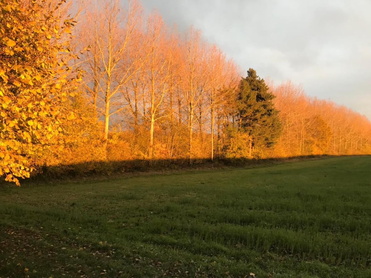 La Suite Cosy - Votre Pause Arborée La Bruyere Extérieur photo