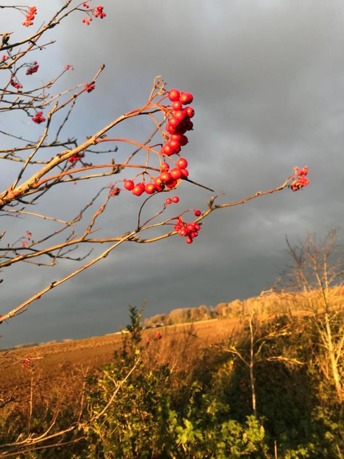 La Suite Cosy - Votre Pause Arborée La Bruyere Extérieur photo