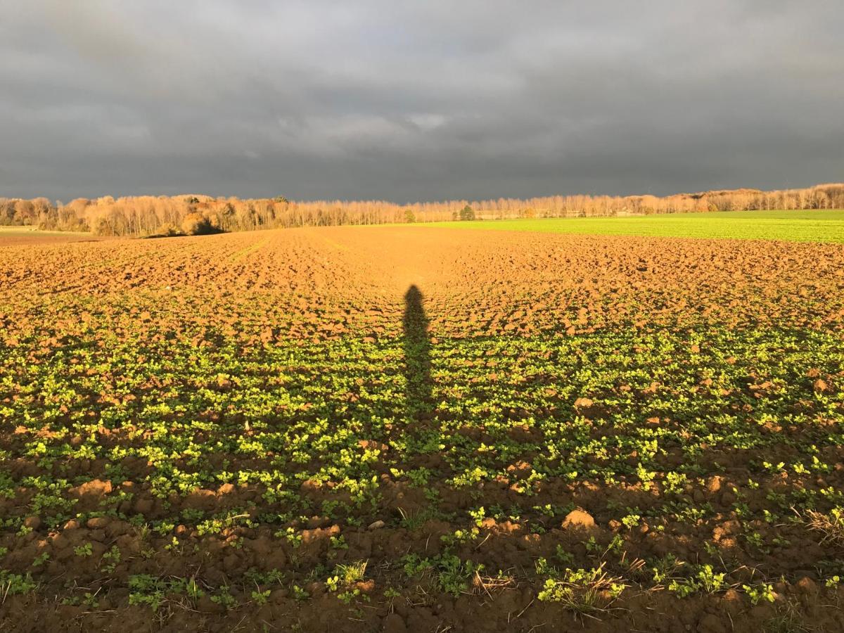 La Suite Cosy - Votre Pause Arborée La Bruyere Extérieur photo