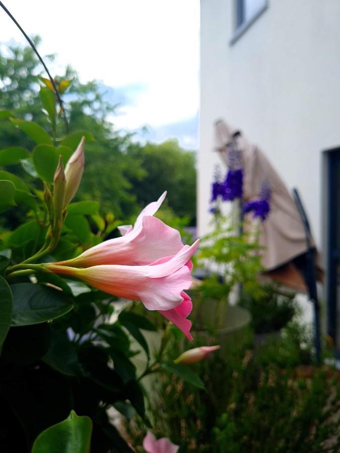 La Suite Cosy - Votre Pause Arborée La Bruyere Extérieur photo