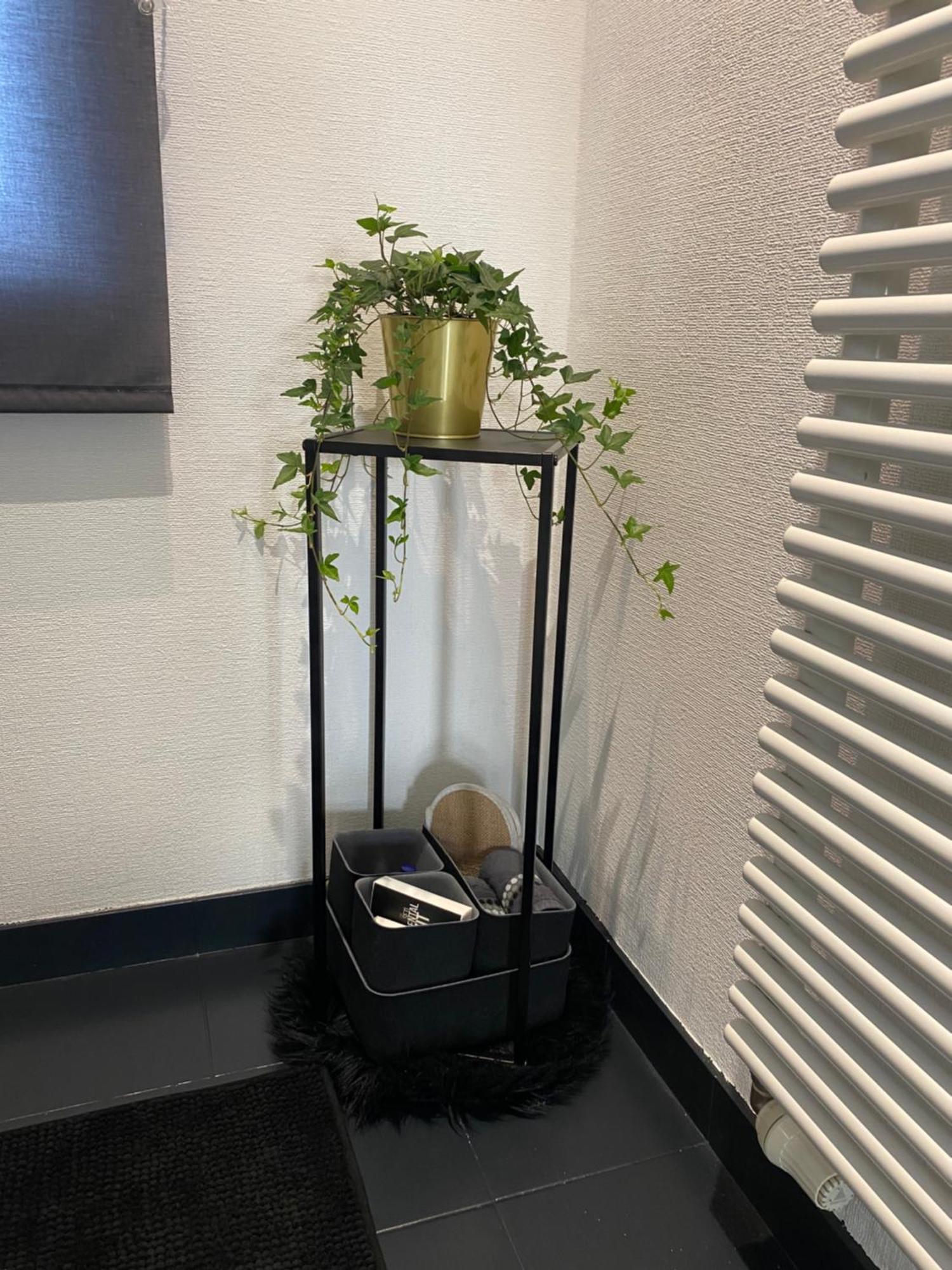 La Suite Cosy - Votre Pause Arborée La Bruyere Extérieur photo