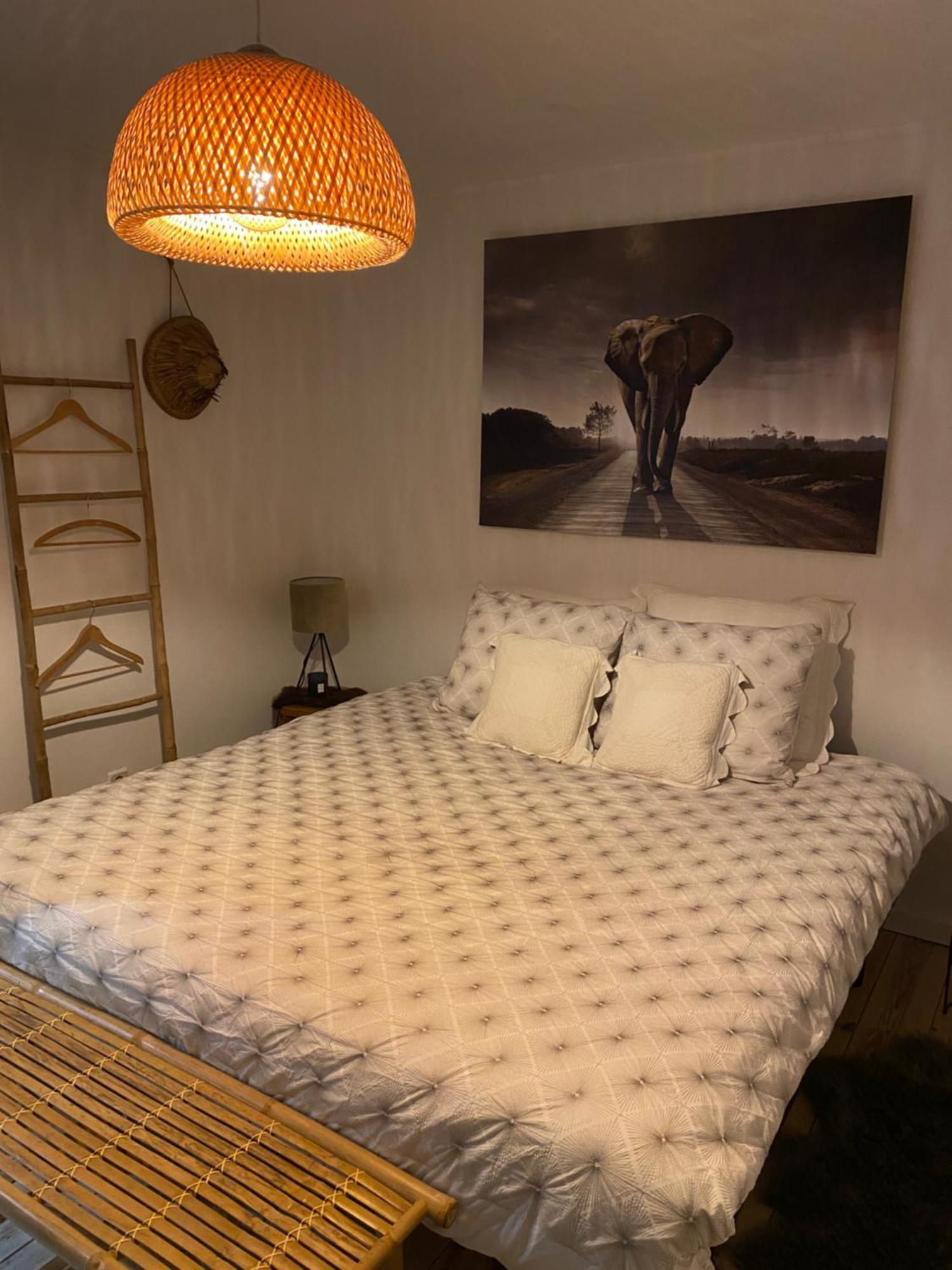 La Suite Cosy - Votre Pause Arborée La Bruyere Extérieur photo
