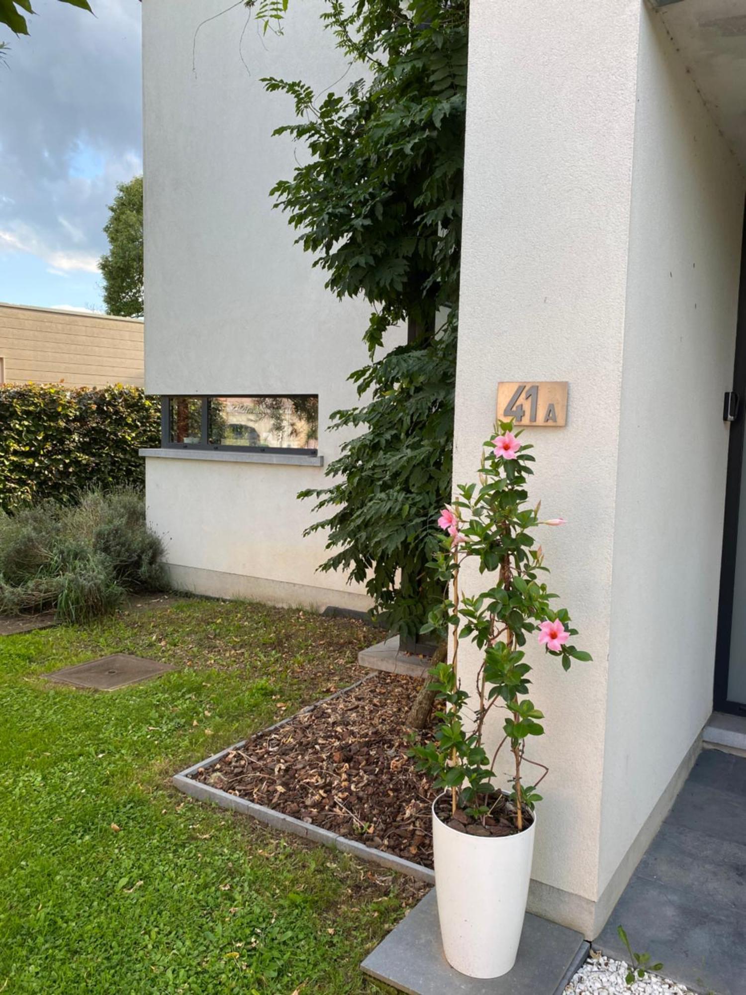 La Suite Cosy - Votre Pause Arborée La Bruyere Extérieur photo
